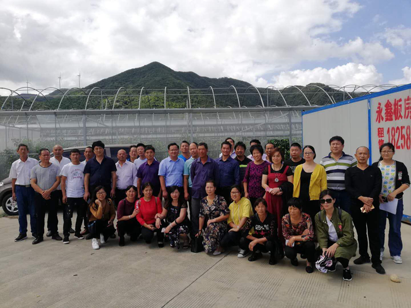 浙農(nóng)金泰聯(lián)合常山胡柚?？漆t(yī)院開展大戶培訓會