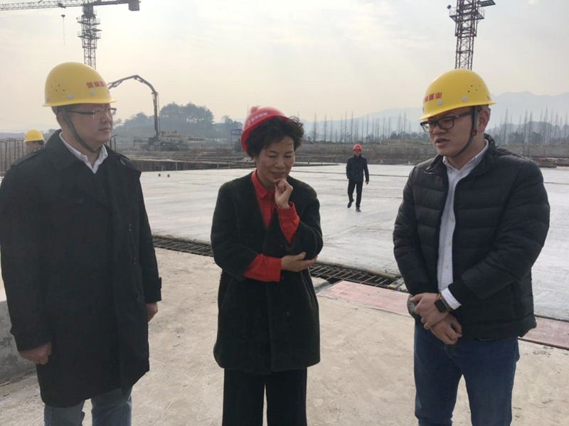 麗水市委常委、宣傳部長任淑女調研松陽美林&middot;南城壹號項目