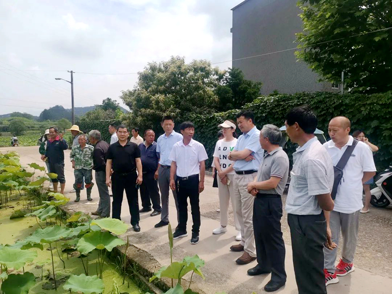 浙農股份參加&ldquo;六送下鄉&rdquo;活動