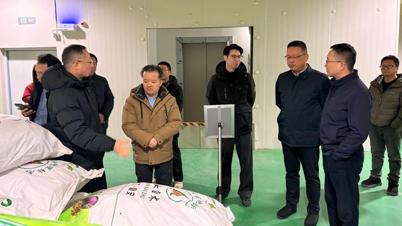 省供銷社副主任郭峻赴浙農中藥磐安公司檢查調研